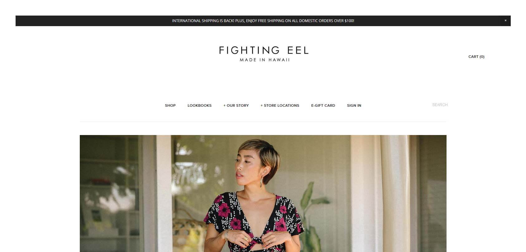 Fighting Eel Homepage