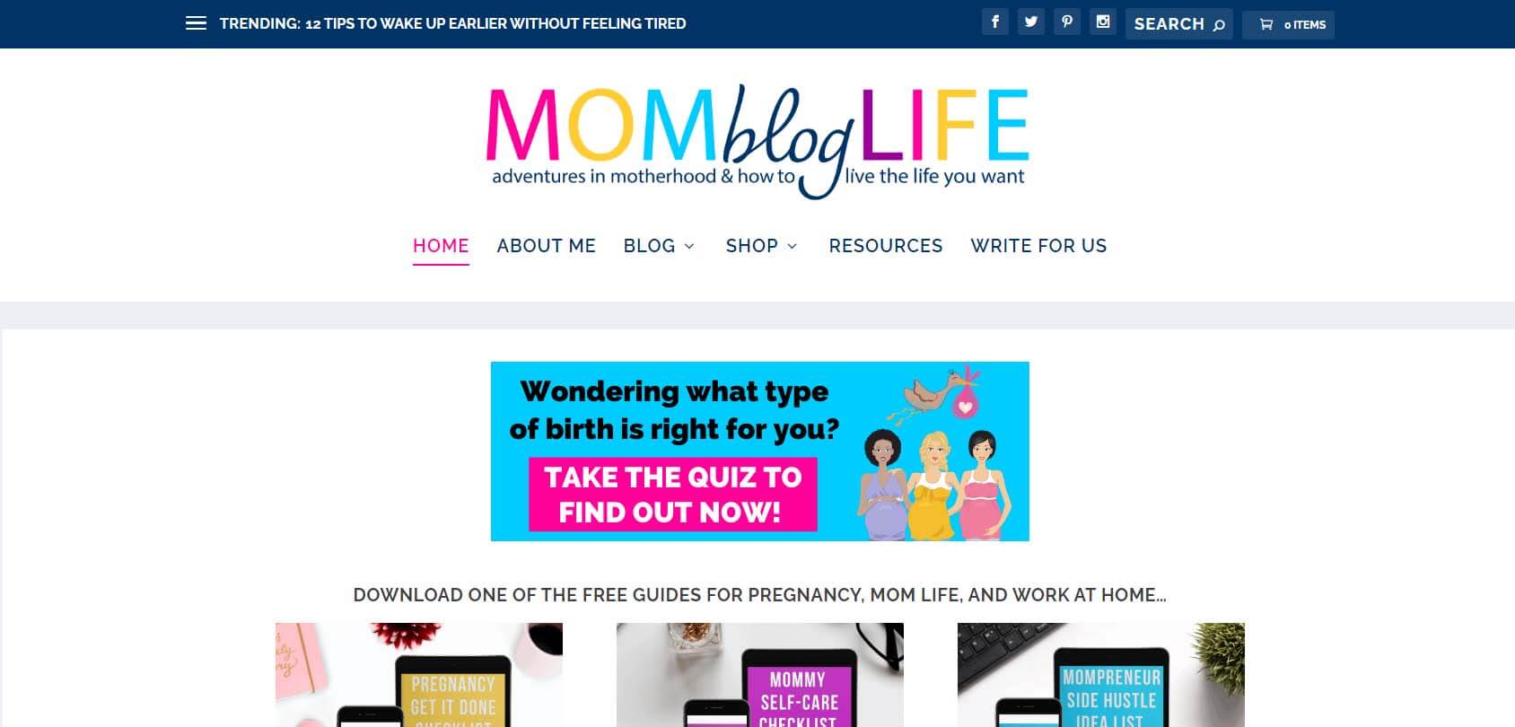Mom Blog Life Homepage