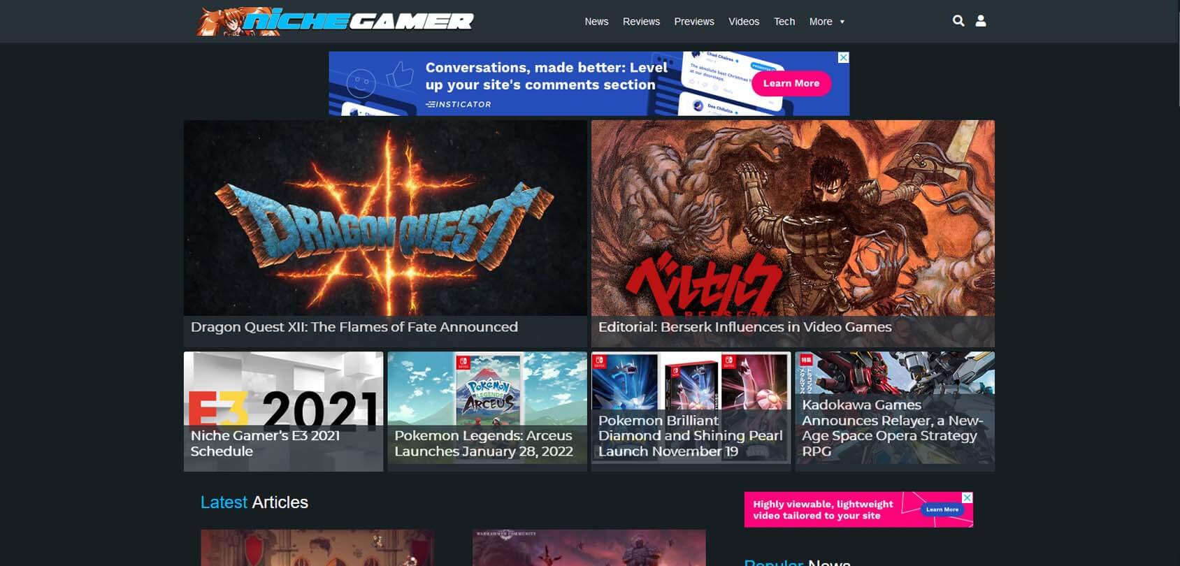 Niche Gamer Homepage