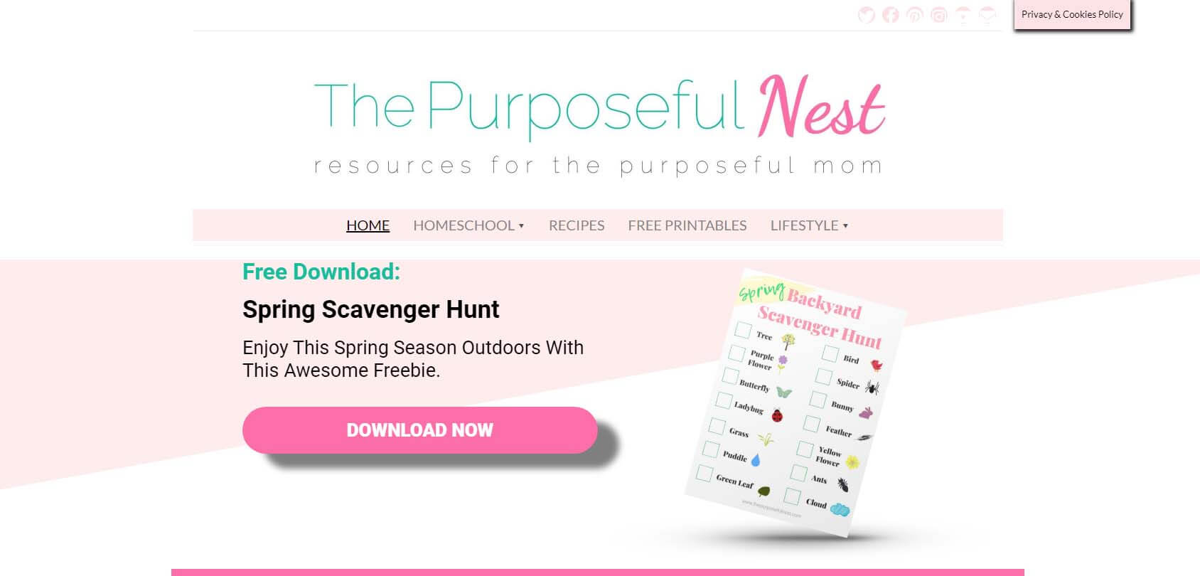 The Purposeful Nest Homepage